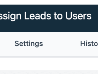 How To Use Workflows to Assign Users to Leads